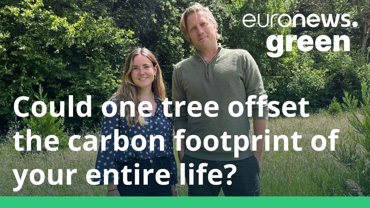 I planted a giant sequoia tree and offset the carbon footprint of my entire life
