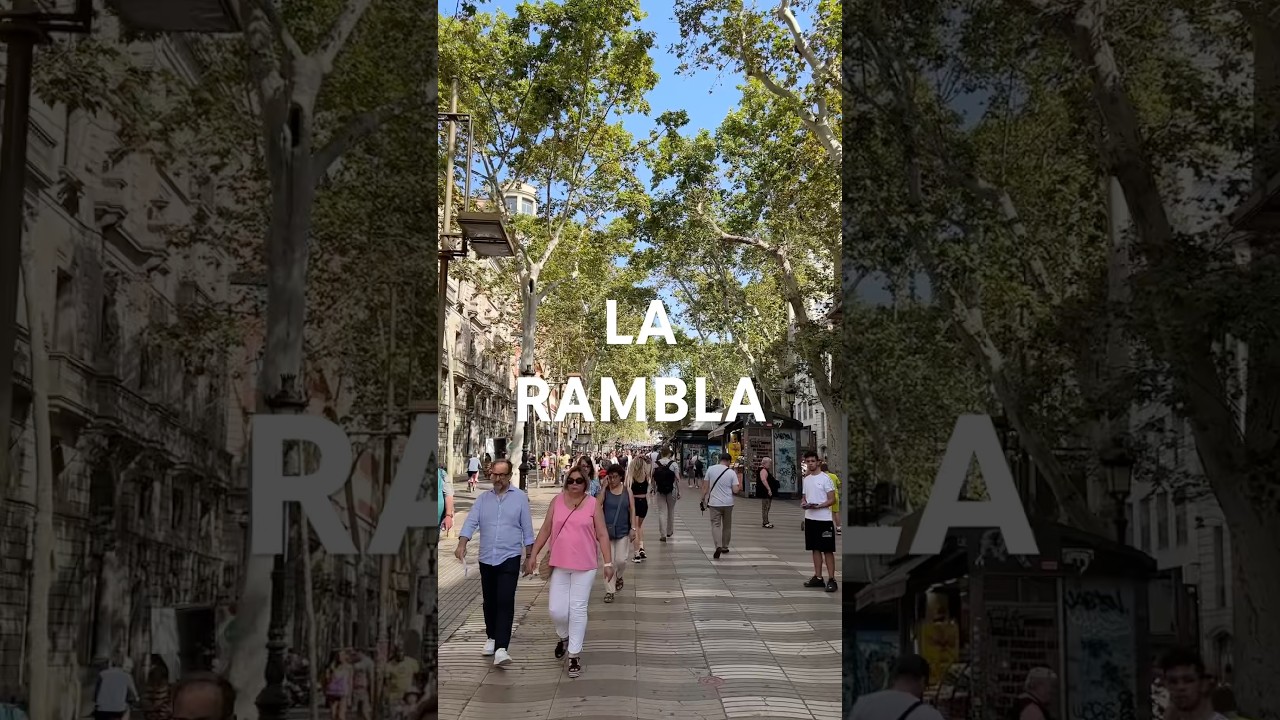 🌳La Rambla, Barcelona (Spain) #barcelona #spain #larambla