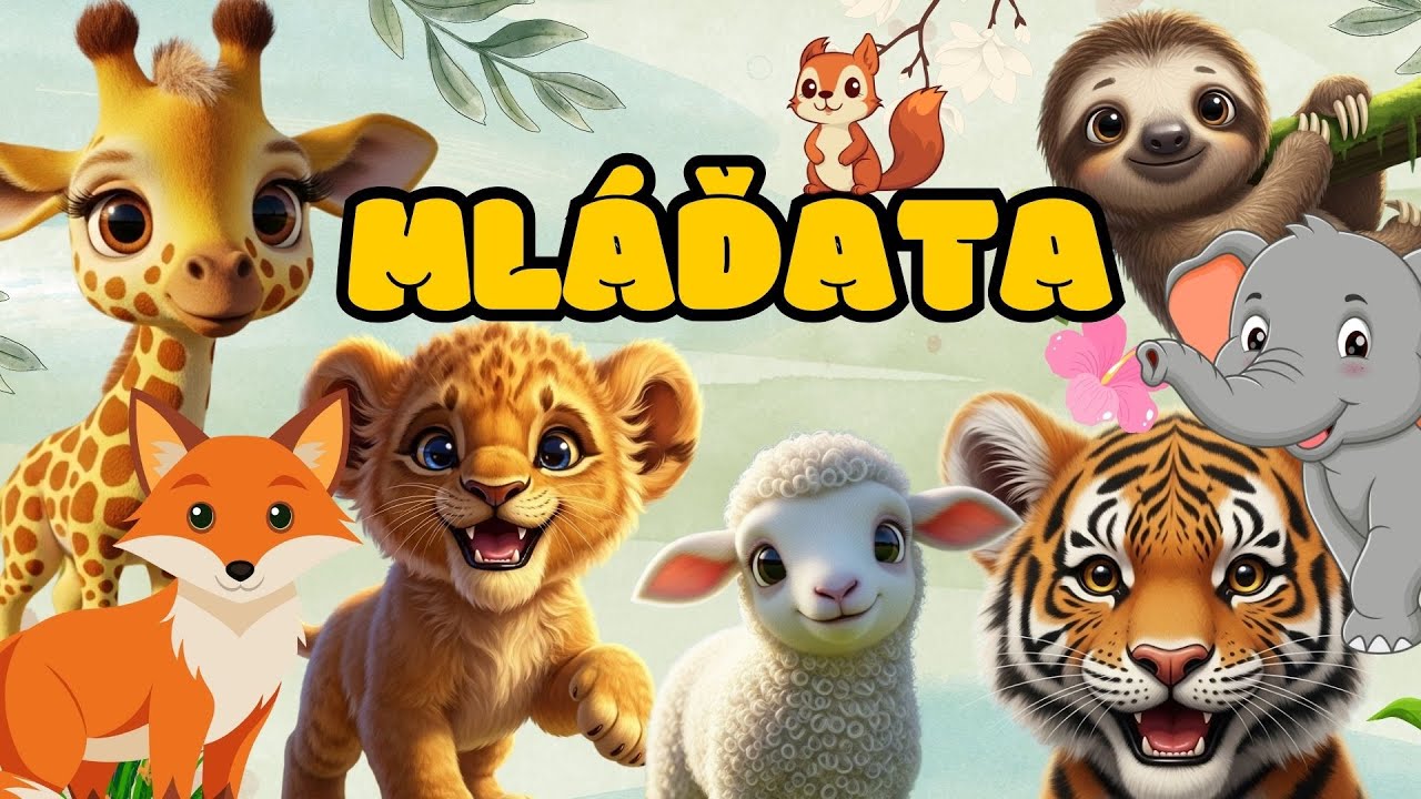 🦁 MLÁĎATA pro děti | Zábavné vzdělávací video pro děti plné roztomilých mláďat ze všech kontinentů 🐻