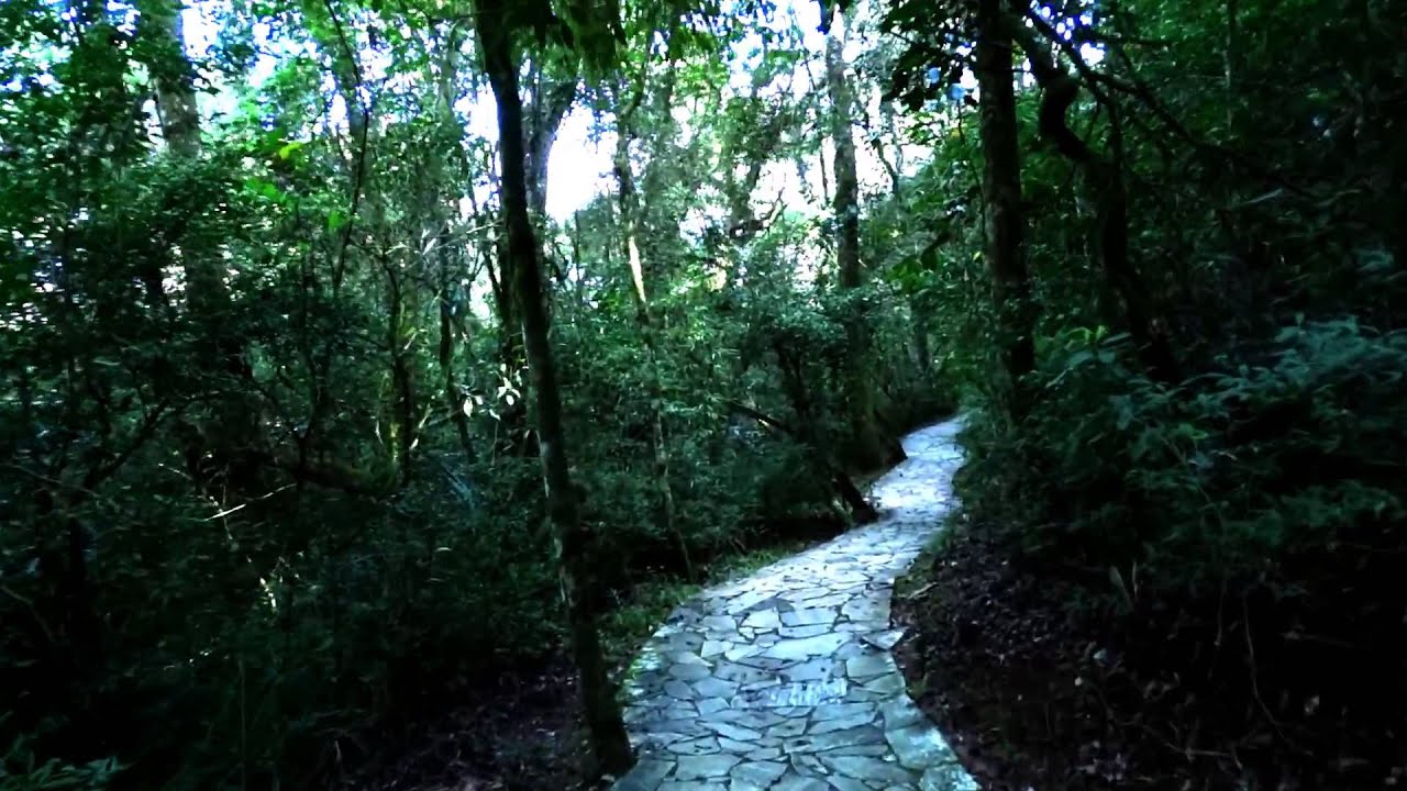 Trilha entre os Arenitos de Vila Velha PR.