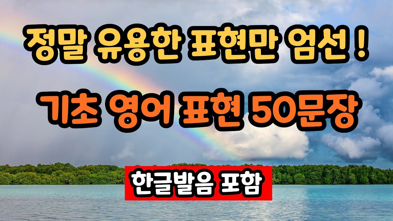 정말 유용한 표현만 기초 생활 영어 표현 50문장 #6 | 꼭 알아야 하는 왕초보 필수 표현