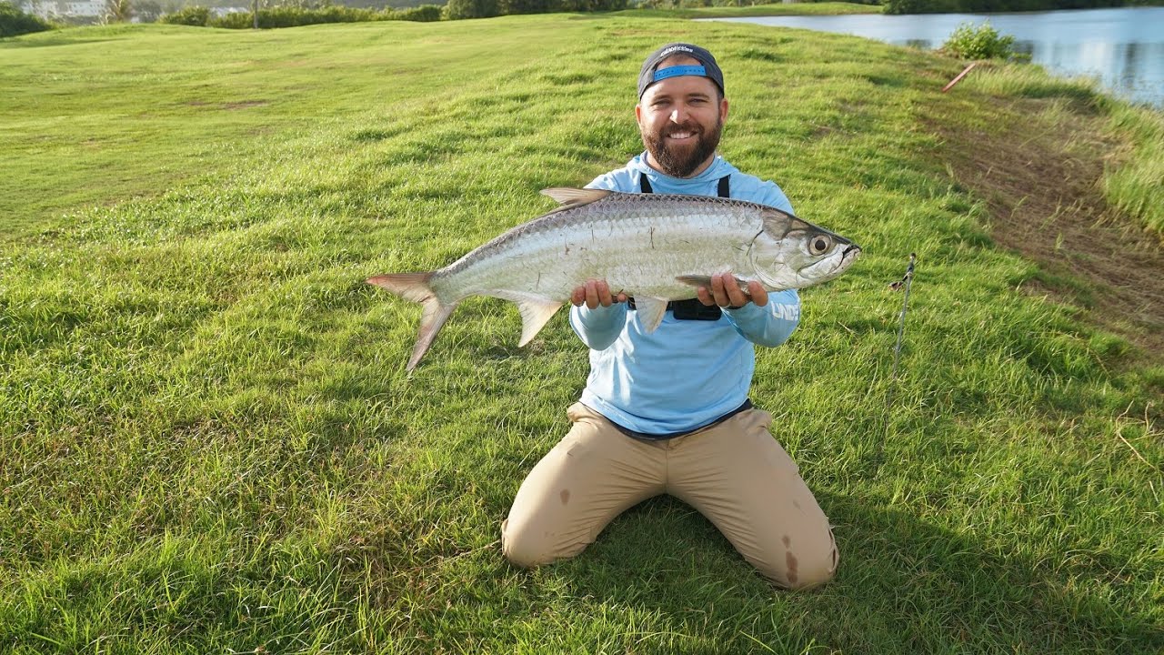Fishing for TARPON in a POND?!! St. Kitts!