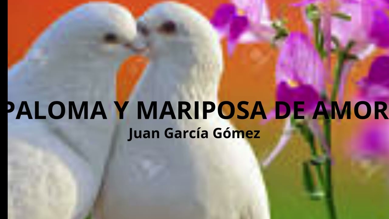PALOMA Y MARIPOSA DE AMOR