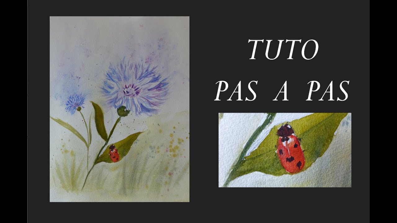 Aquarelle : Bleuets et coccinelle