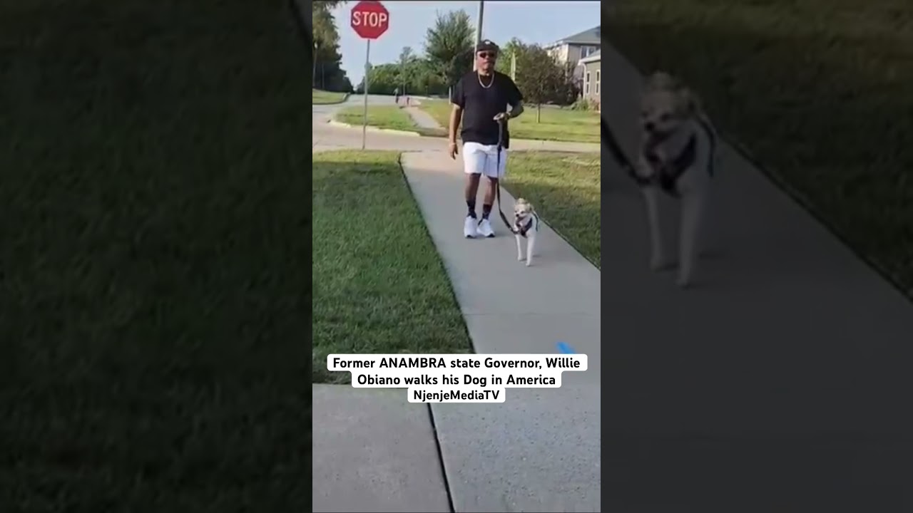 Former ANAMBRA state Governor, Willie Obiano walks his Dog in America #njenjemediatv #njenjemedia