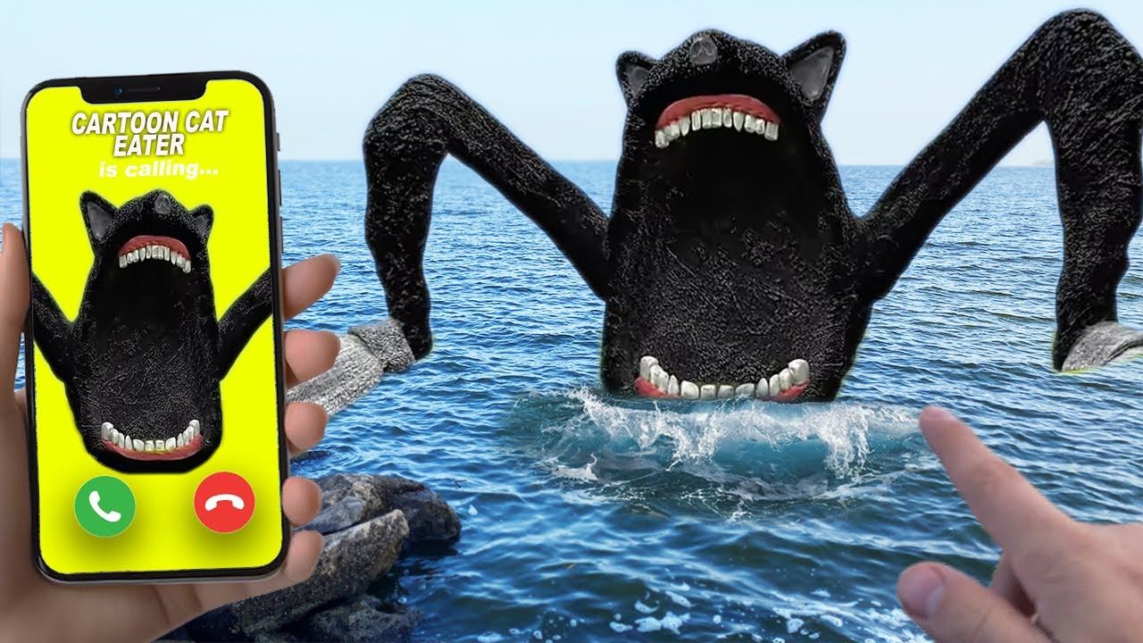 DO NOT CALL CARTOON CAT EATER  in the sea at 3am