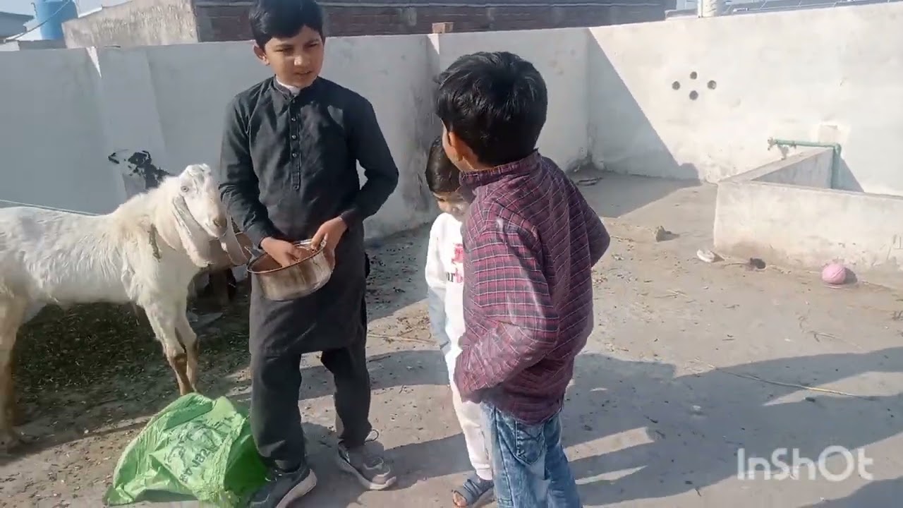 Mini vlog🥰🥰