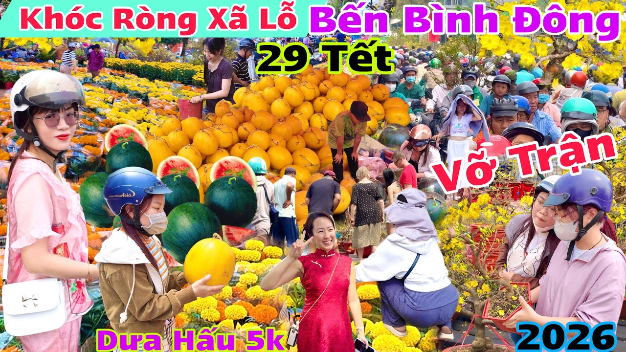 Khóc Ròng Xã Lổ Như Cho Chợ Hoa Tết Bến Bình Đông 2026 kẻ khóc người cười ngày cuối dưa hấu 5k luôn 