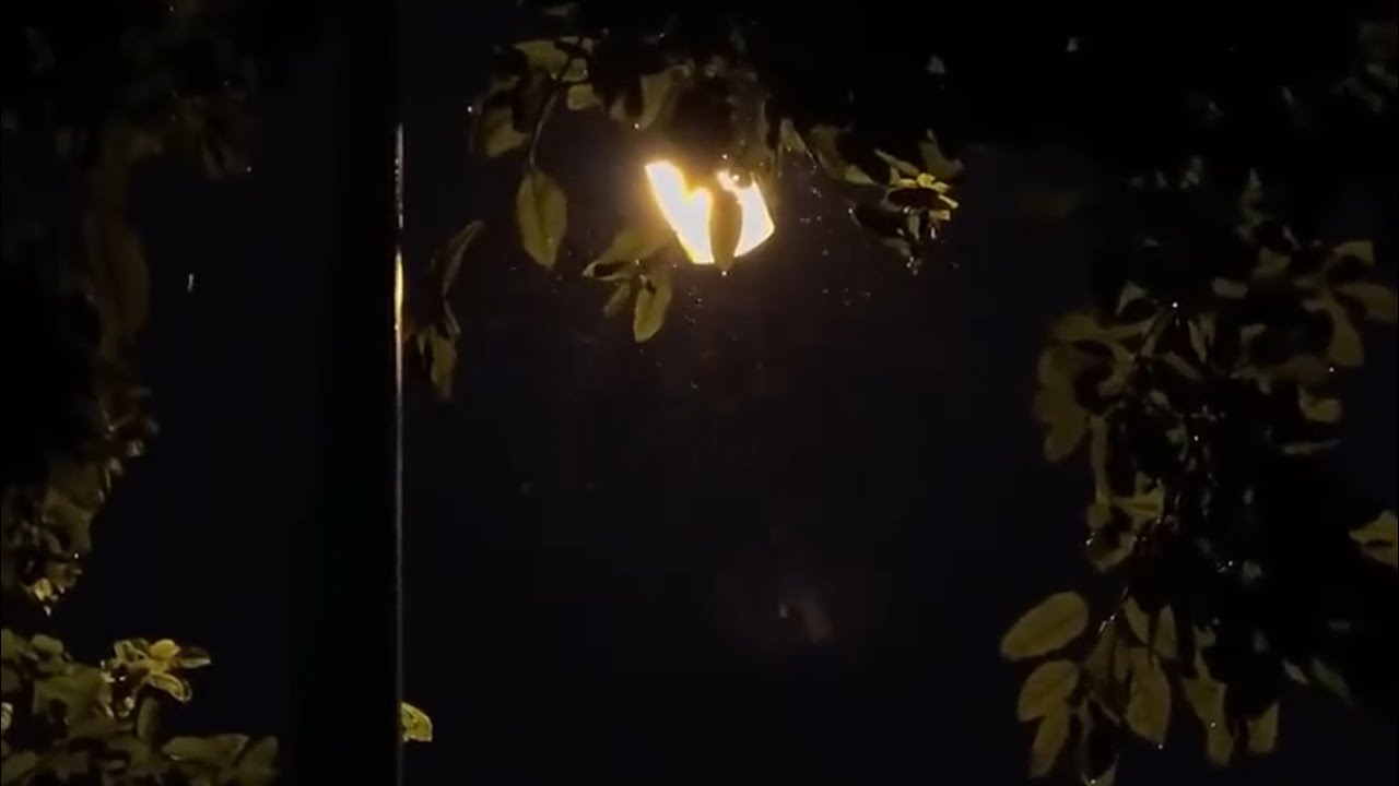 mưa trong anh đã rơi (anh muốn nhìn thấy em) prod. shrimp
