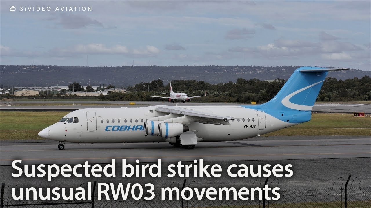 Suspected bird strike causes some unusual movements on RW03 at Perth Airport.