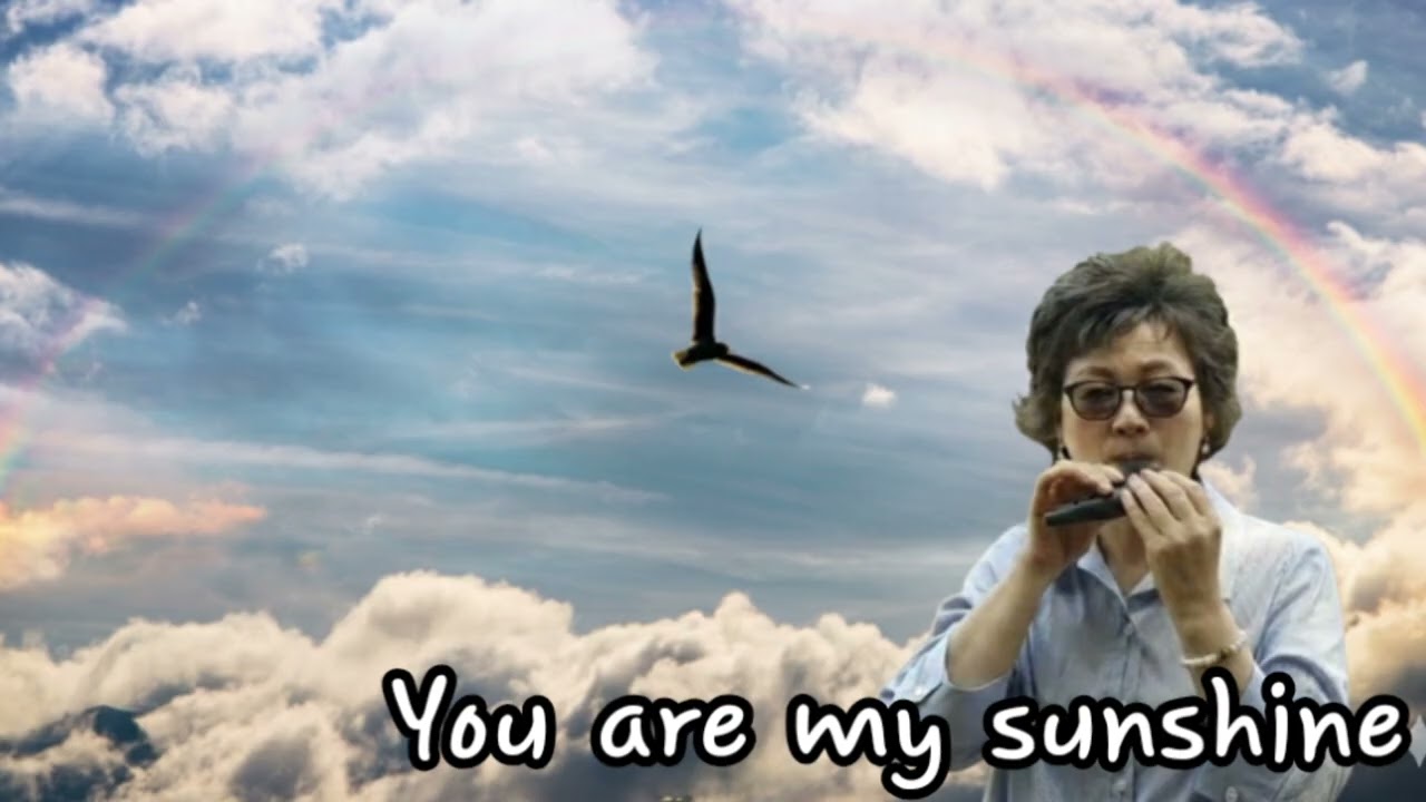 [오카리나연주]You are my sunshine #오카리나 