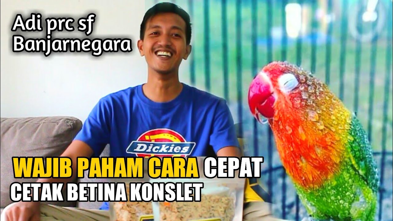 CARA CEPAT CETAK BETINA KONSLET ADI PRC BANJARNEGARA