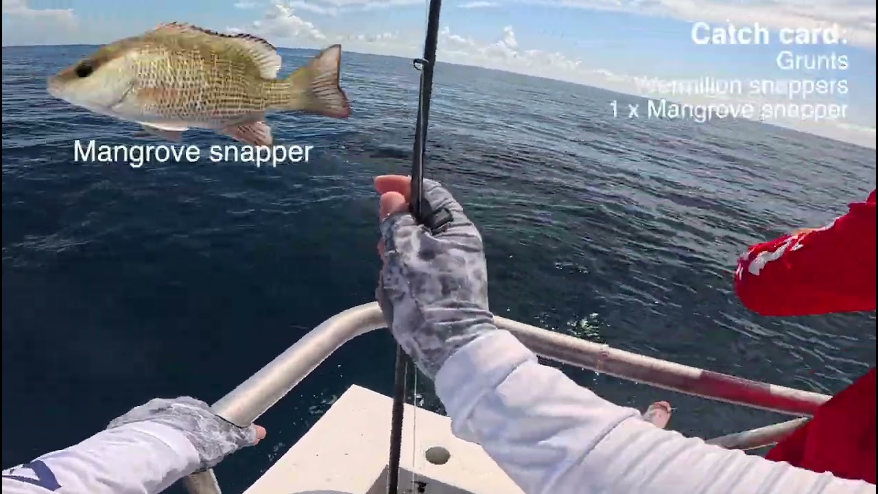 July 26, 2024 - Headboat fishing on Orlando Princess - Cape Canaveral, Florida - Mangrove snappers