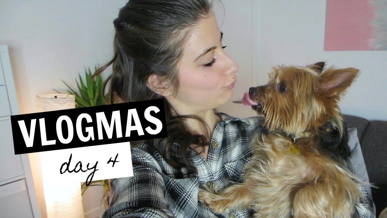 MY PUPPY VISITS TORONTO | Vlogmas Day 4