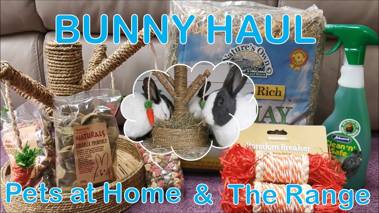Bunny HAUL!