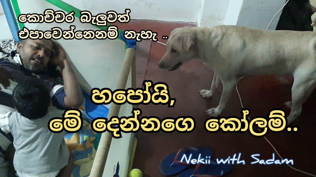 හපෝයී ,මේ දෙන්නගෙ කෝලම්..| Nekii with Sadam