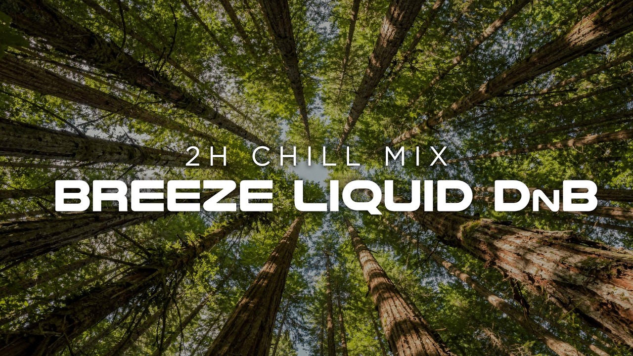 Forest Canopy 🌲 | Breeze Liquid Drum & Bass | 2 Hour Chill Mix