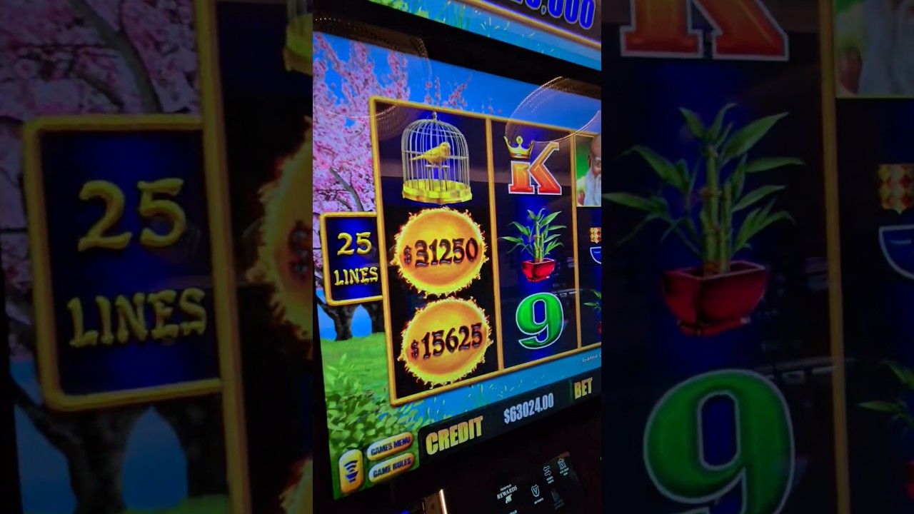 First EVER $3,125/Spin on Dragon Link! #vegas #dragonlink #casino