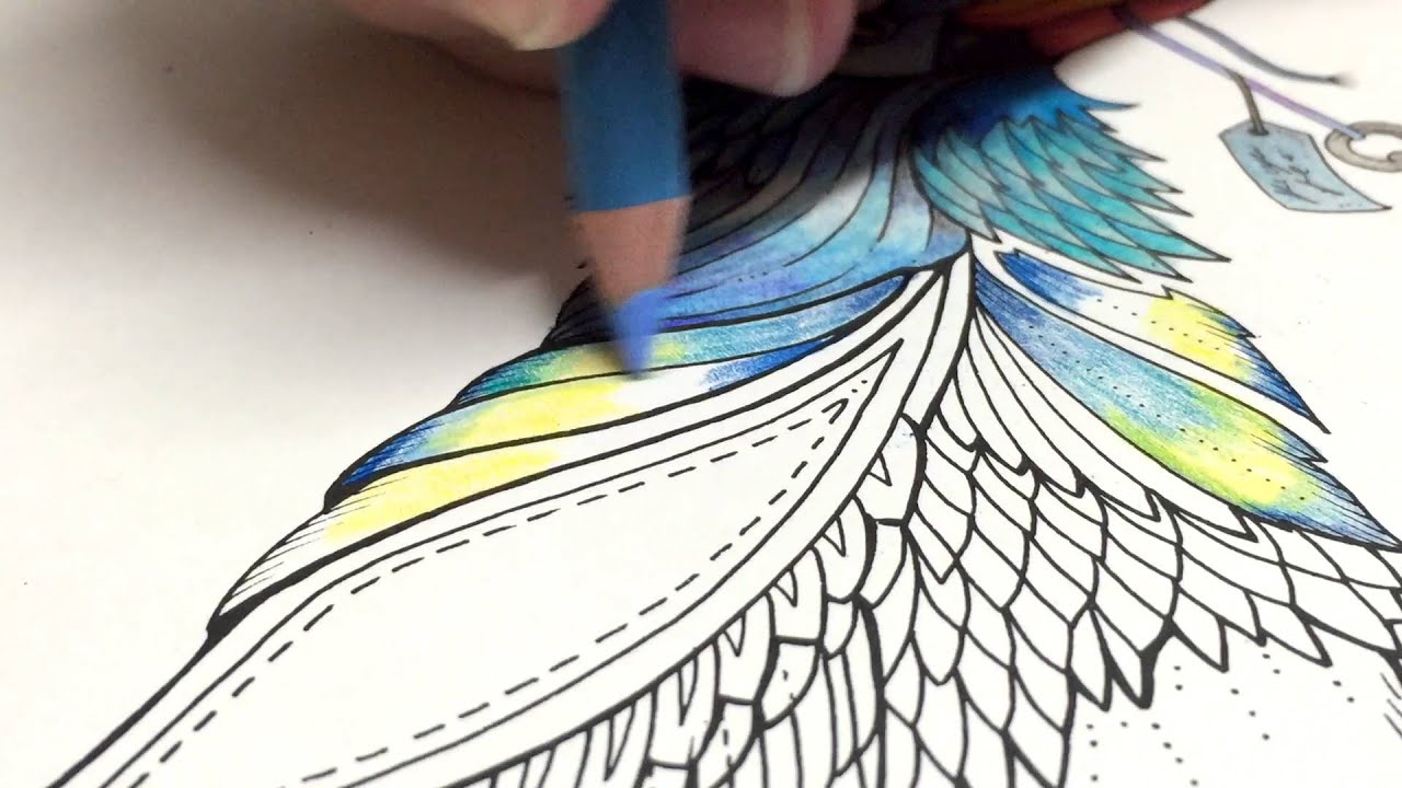 ASMR Adult Coloring - Enchanted Forest - Blue Bird #6 - Blended pencil Prismacolor Premier