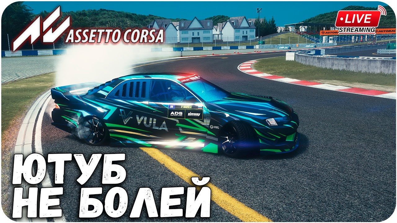 МОЗГОВ У МЕНЯ НЕТ, НО ЕСТЬ ИДЕЯ. ASSETTO CORSA