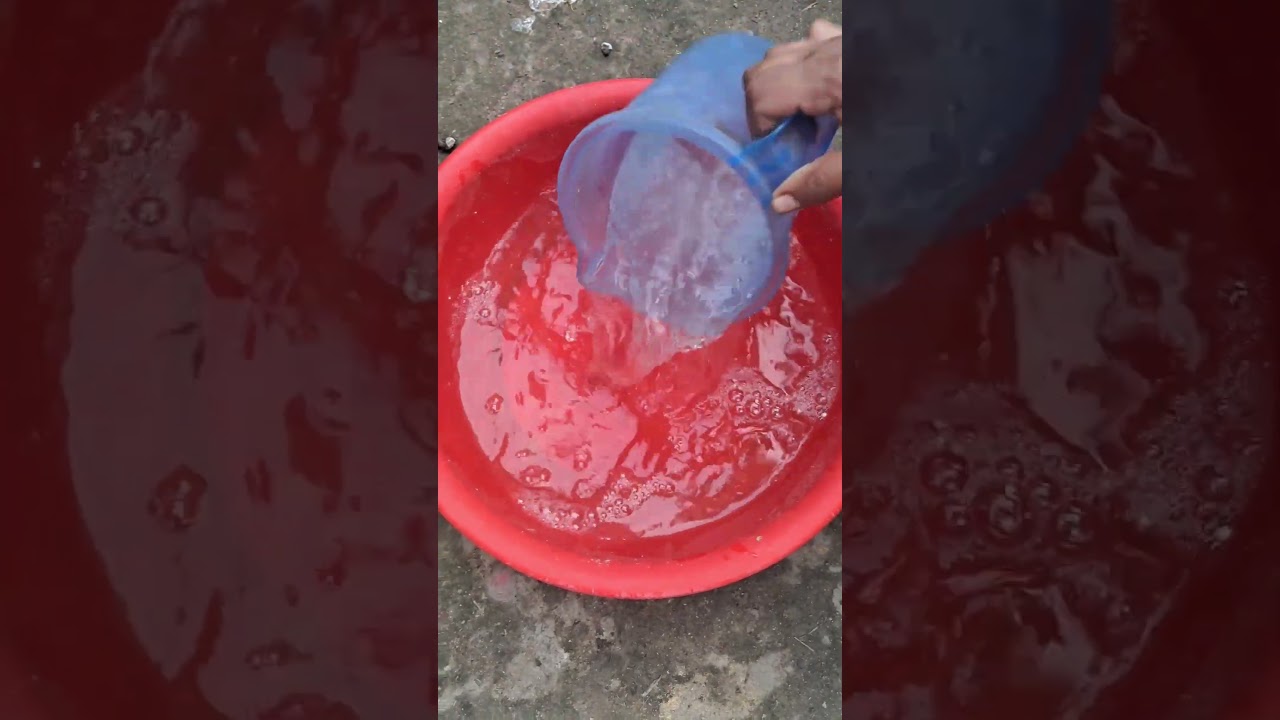 I gave cold medicine in water. #ducks #duckcoop #duckchicks #duckhens #duckhens #duckfarming