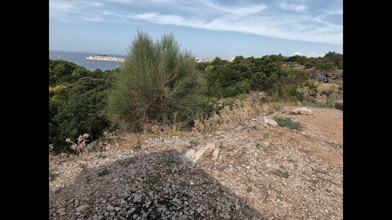 Dalmacija, Primošten