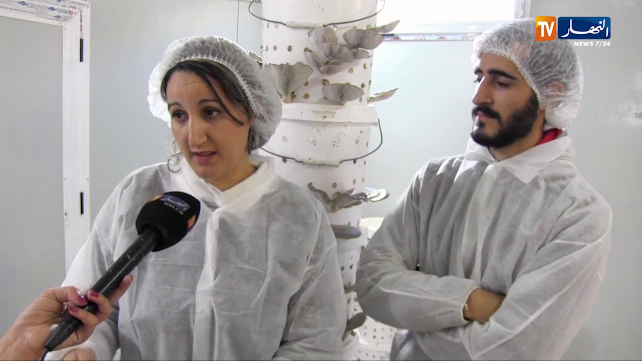 تيزي وزو: جامعي يخوض أول تجربة فلاحية في زراعة الفطر ببقايا القهوة