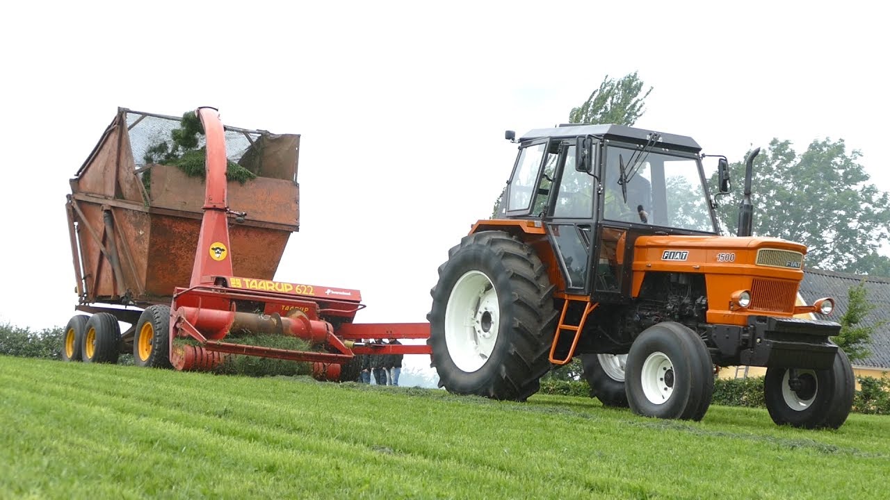 Fiat 1500 | Making Grass Silage w/ Taarup 622 Forage Harvester | Danish Agriculture