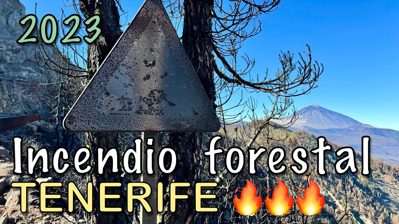 Tenerife - Incendio Corona Forestal 🔥😞🌳 Ago-Aug/2023 4K HDR