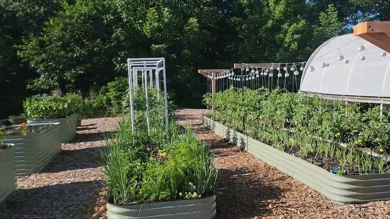 Our Birdies Raised Bed Garden Project (How we designed the garden plan)