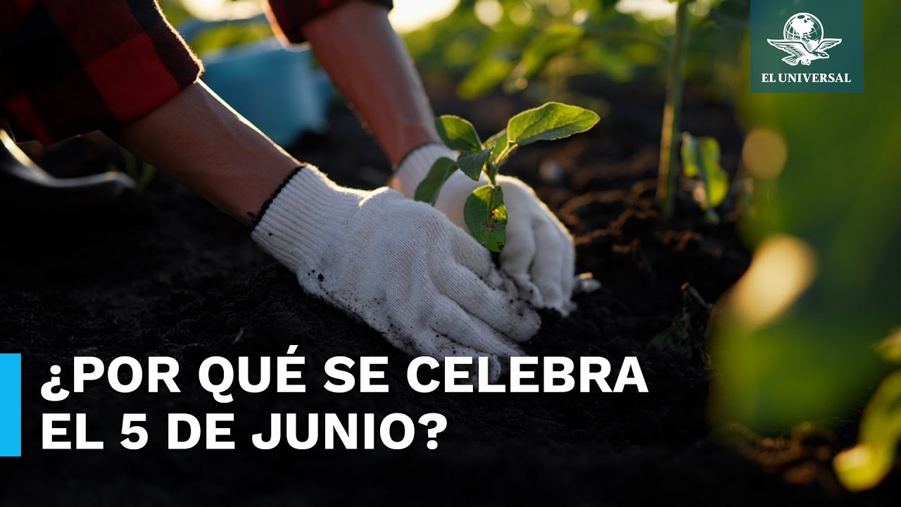 Por este motivo se celebra el D&iacute;a Mundial del Medio Ambiente el 5 de junio