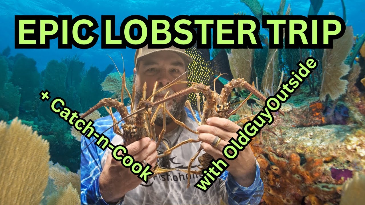 EPIC Lobster ADVENTURE in Key Biscayne Bay