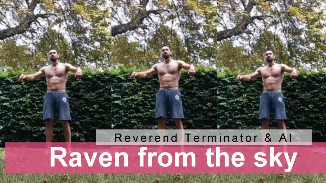 Sky Superstar - Raven from the Sky