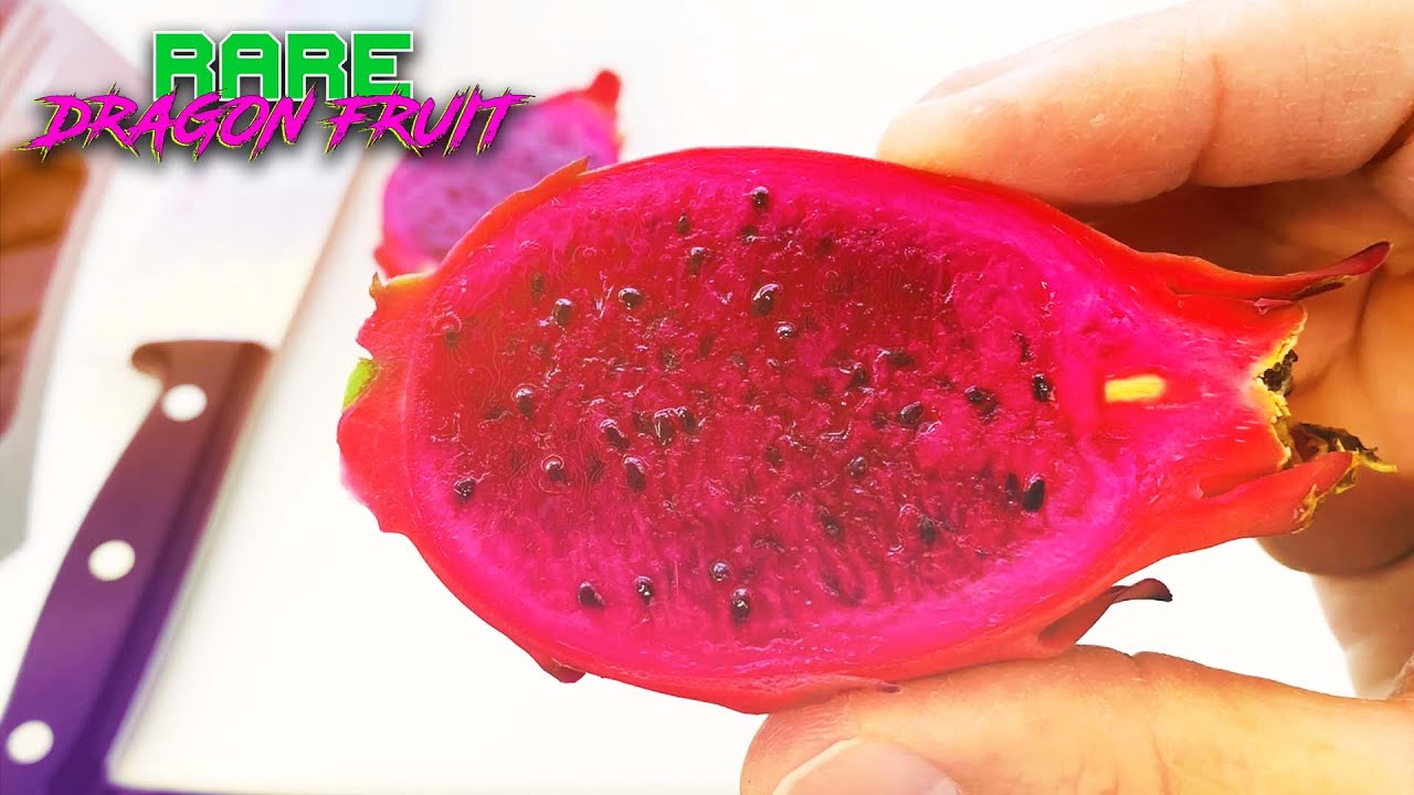 SUGAR DRAGON FRUIT TASTING and REVIEW / Guess the BRIX? / This Paul Thompson Hybrid is Amazing