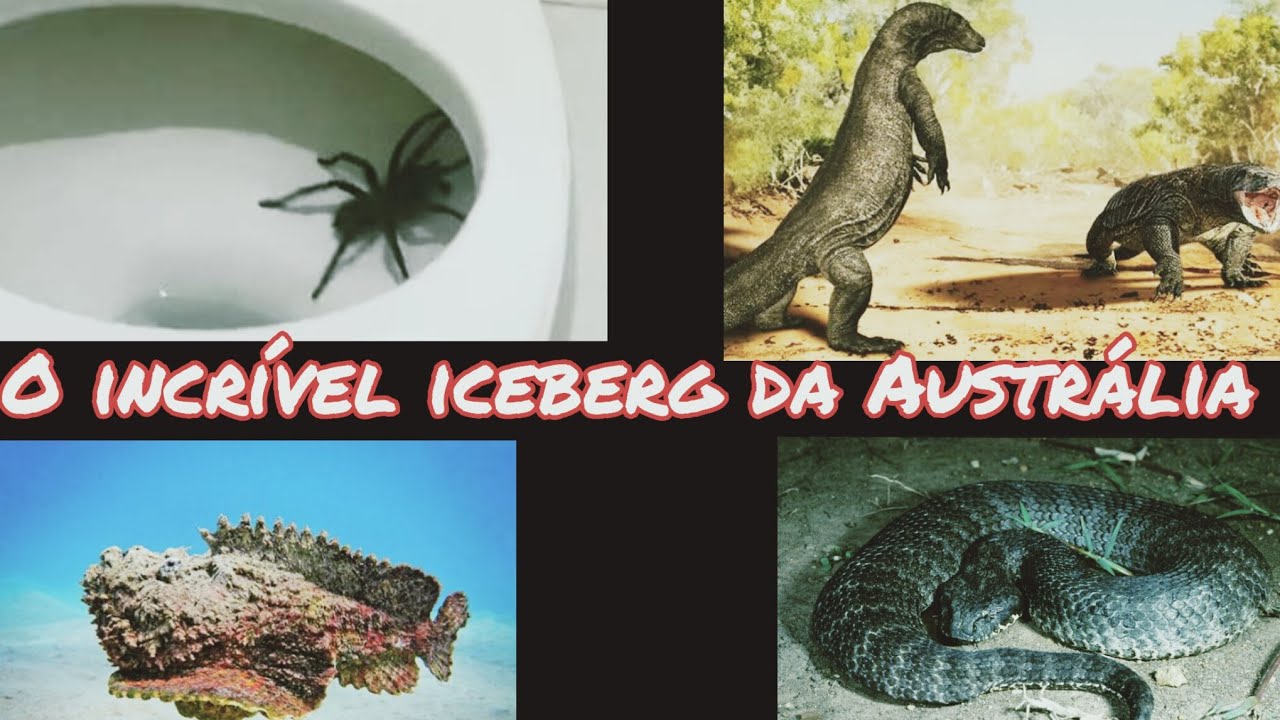 Iceberg da Austrália 
