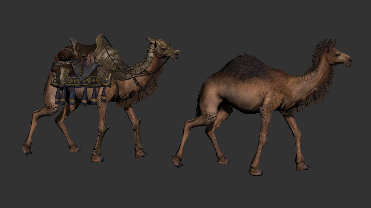 C4D animals and animations import to iclone. (examples files + animations)