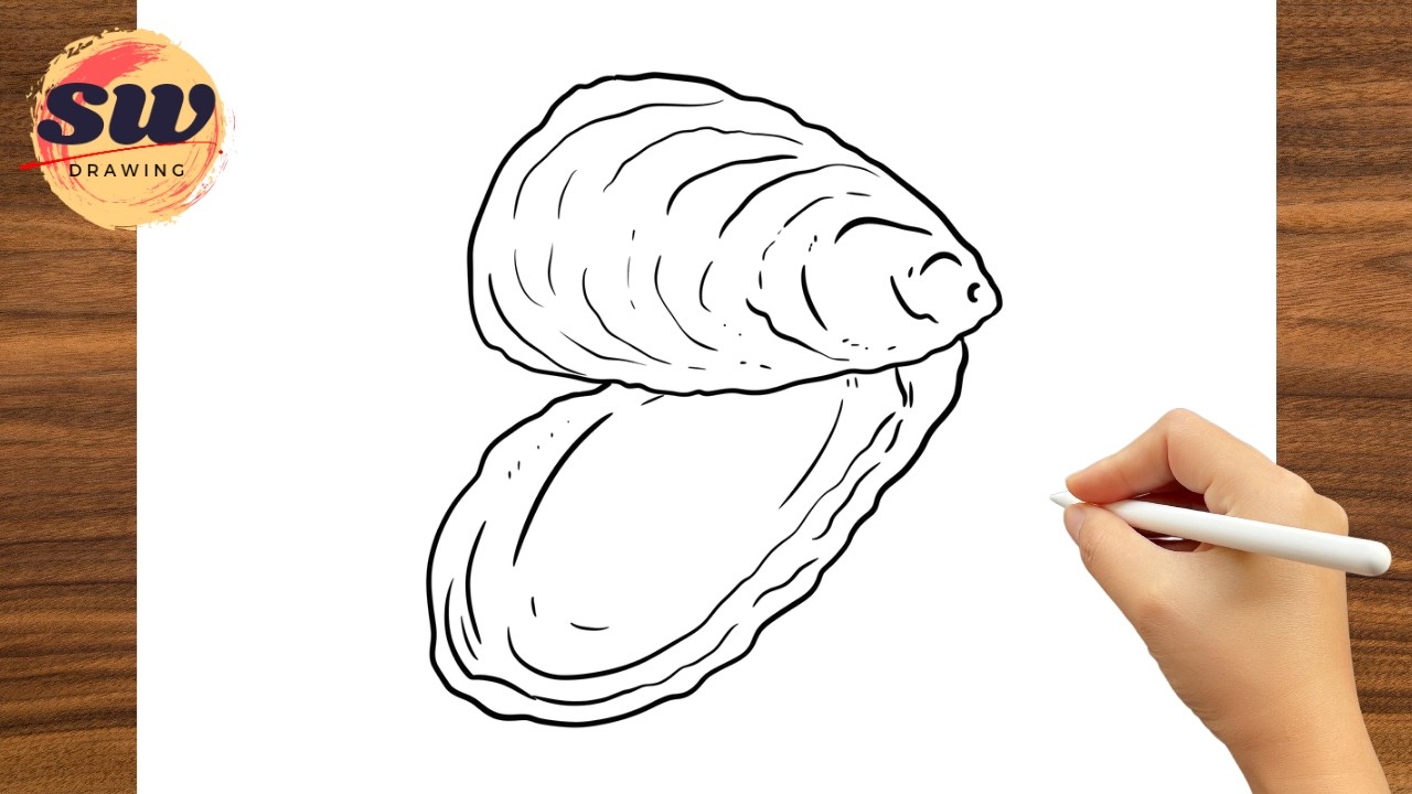 How to Draw Oyster