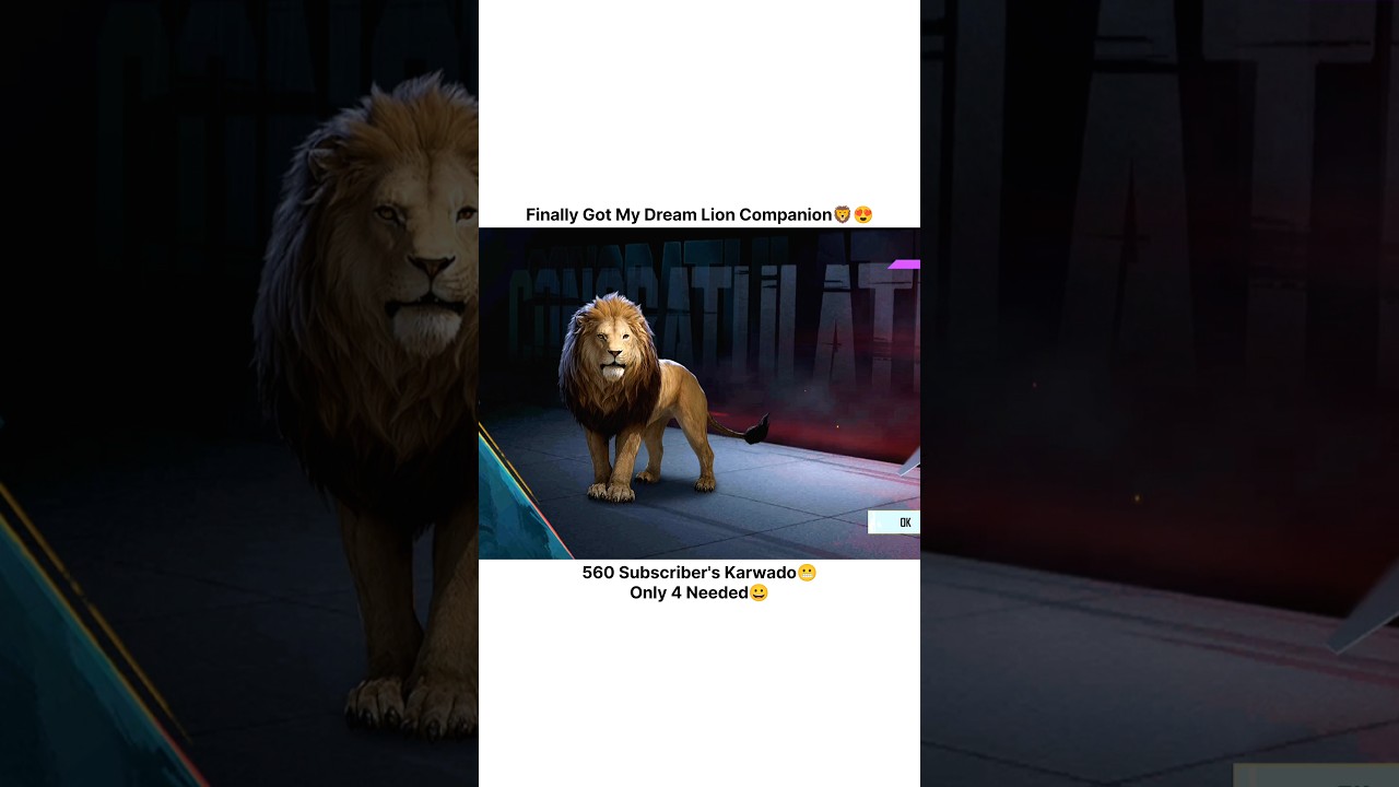 Finally I Got Lion Companion🦁😍 #bossxco #bossxcolive #lion #tiger#companion #bgmi #bgmilive