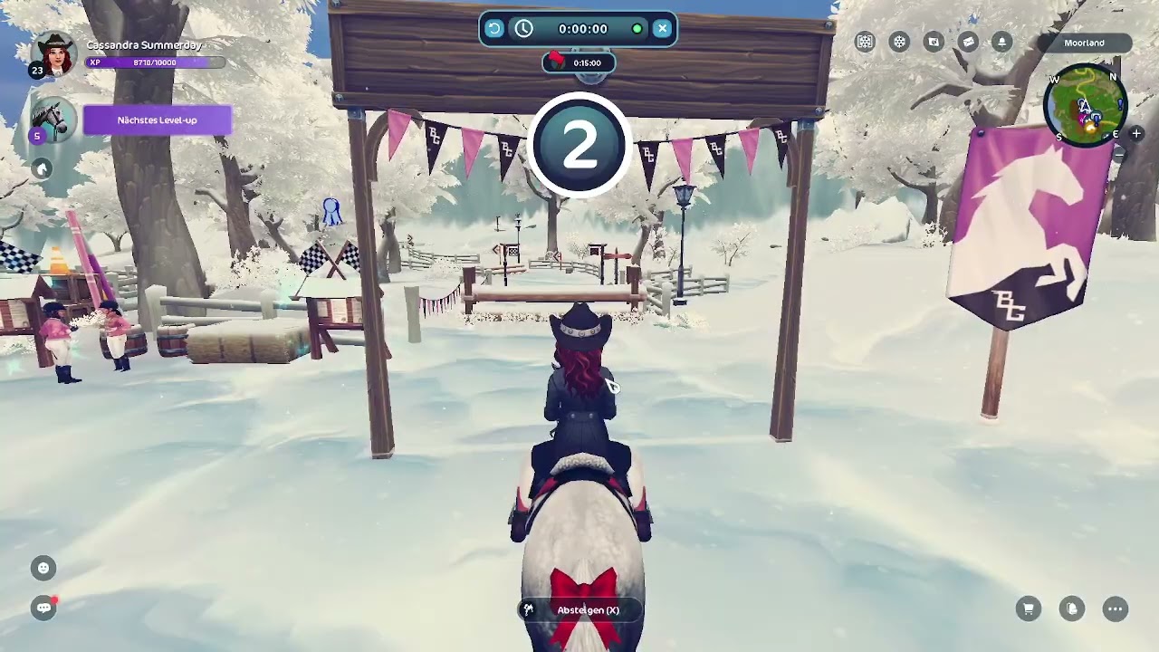star stable wir leveln berrydreamer und unterhaltung