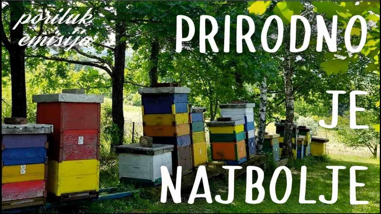 Kako prepoznati Pravi Med, APITERAPIJA, pčelarstvo... podcast, radio emisija Poriluk