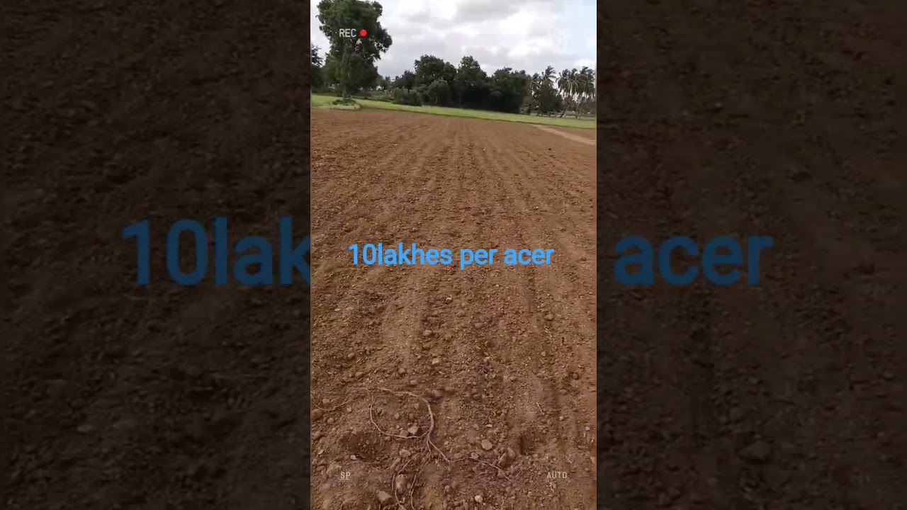 low price land near Bagepalli