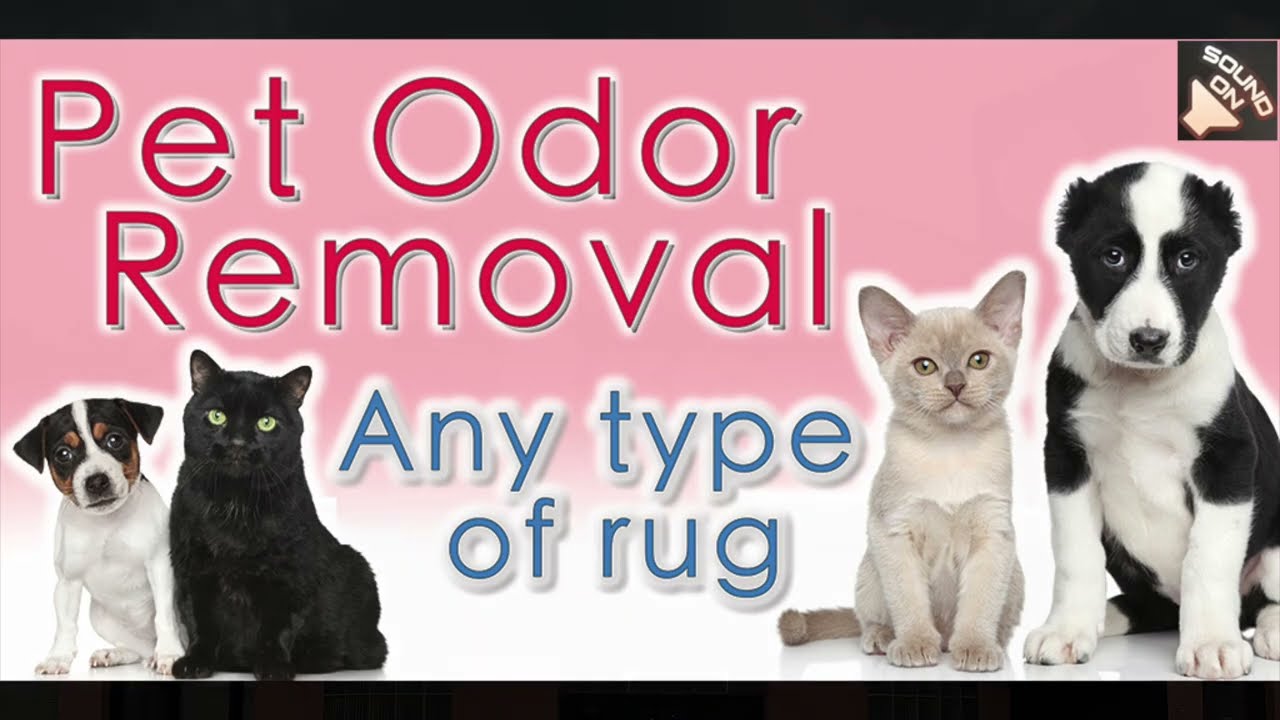 Rug Cleaning - Area and Oriental Rug Washing - Day & Nite Rugs - Tulsa, OK - Sound On