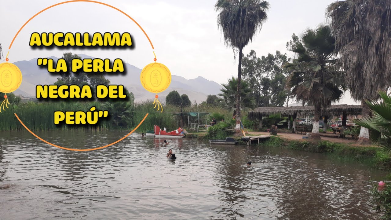 AUCALLAMA 