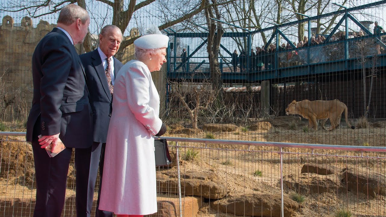 Land of the Lions gets Royal seal of approval!
