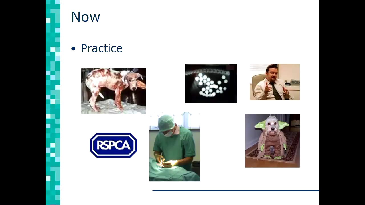 Dr. James Yeates - KEYNOTE Veterinary Ethics Conference