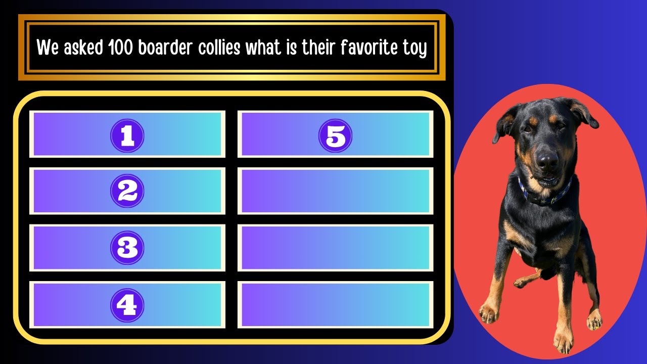FETCH THAT ANSWER