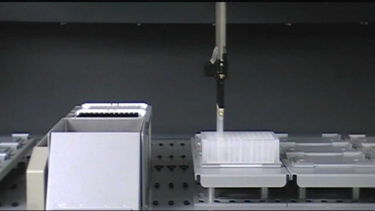 Purification Automation of Protein A Antibody Binding PhyTip Columns on LiHa Tecan Robot