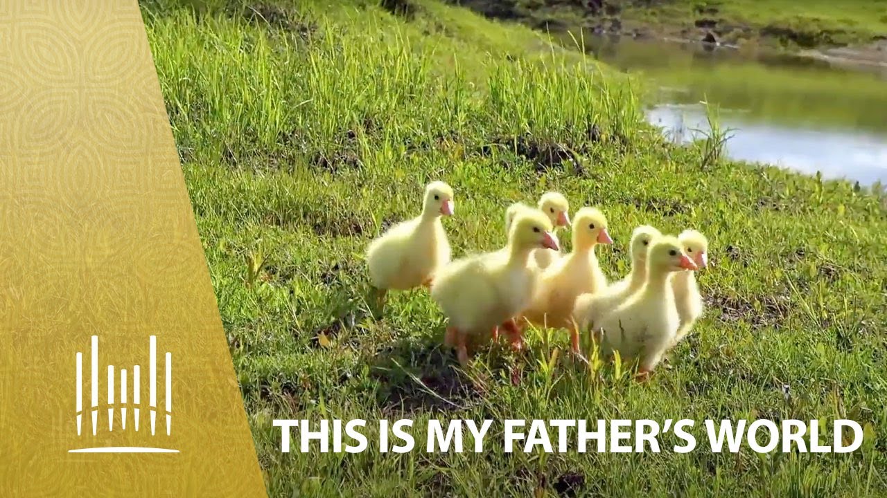This Is My Father's World | The Tabernacle Choir