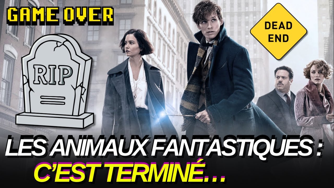 LA WARNER ACTE LA FIN DES ANIMAUX FANTASTIQUES ET DES SPINS-OFFS