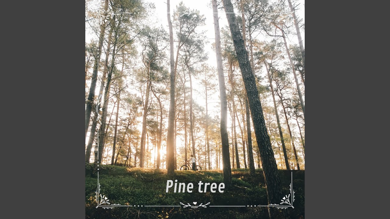 Pine Tree N&deg; 2